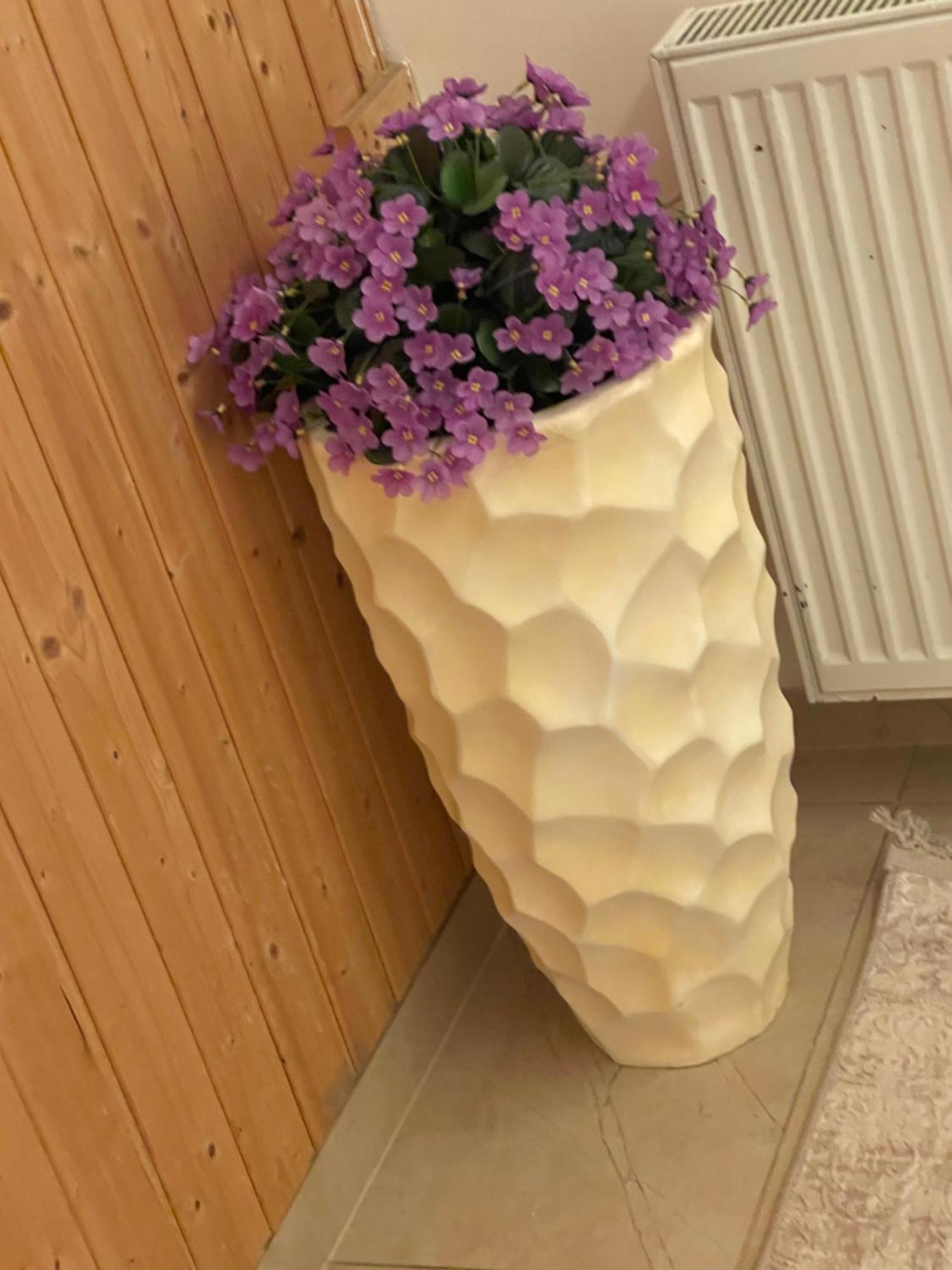 Janka Guest house Brno